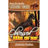 Obsessed by Wildfire (Wayback Texas)