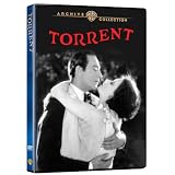 The Torrent