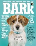The Bark