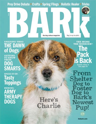 The Bark