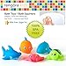 Bath Toys / Bath Squirters: Adorable Whale, Clownfish, Sea Turtle, Manta Ray + Hammerhead Shark 5 Pack for Kids Bath Time (Ages 3+)