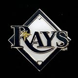 Tampa Bay Rays Logo Pin