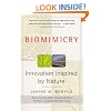 Biomimicry: Innovation Inspired by Nature