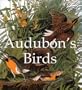 Audubons Birds Mega Sq (Mega Squares)