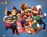 (16x20) Nintendo (Super Mario Group) Video Game Poster Print
