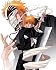 BLEACH(B) �ߋ��� 2009�N�J�����_�[