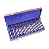 HARMONICAS 12 HARP SET - 10 HOLE EACH - EVERY KEY+ CASE