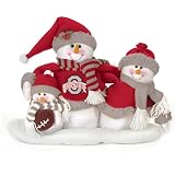 Ohio State Buckeyes Table Top Snow Family