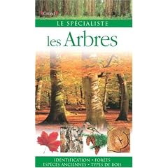 Les Arbres