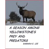 A Season Among Yellowstone's Prey and Predators
