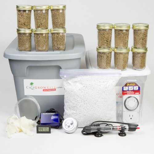 Deluxe Mushroom Grow Kit + 12 Premium Grow Jars On Sale