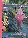 Ornamental Plants & Flowers of Tropical Mexico