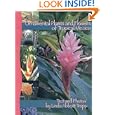 Ornamental Plants & Flowers of Tropical Mexico