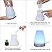 Essential Oil Diffuser, 100ml Portable Aroma Cool Mist Air Humidifier with Adjustable Mist Mode 7 Color Changing LED Lights, Waterless Auto off for Home Office Spa (LM-008)