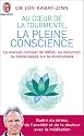 Au coeur de la tourmente, la pleine conscience : MBSR, la réduction du stress basée sur le mindfulness : programme complet en 8 semaines