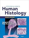 Stevens & Lowe's human histology