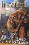 Wizardborn: Book Three of 'The Runelords'