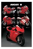 Motorräder - Ducati Bikes Poster (91 x 61cm)
