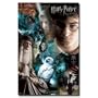 (22x34) Harry Potter 6 Movie (Group Collage, Half-Blood Prince) Poster Print
