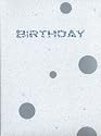 “BIRTHDAY” Official Guide Book + Sound Track