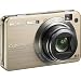 Sony Cybershot DSCW150/G 8.1MP Digital Camera with 5x Optical Zoom with Super Steady Shot (Gold)