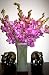 Fresh Cut Flowers - Nora Mokara Orchids with Vase