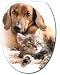Sticker Autocollant Abattant WC Chien Chat 26x34cm réf 038