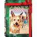 Movies for Dog Lovers