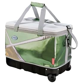 Coleman(�R�[���}��) �z�C�[���A���e�B���C�g�G�N�X�g���[���\�t�g�N�[���[/40L 170-6809