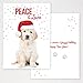Canopy Street Labrador Love Holiday Card Pack / 25 Cards And Envelopes Pack/Festive Santa Hat Puppy Design With Greeting Inside/Dog Christmas And New Year Cards