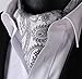 SetSense Men's Paisley Jacquard Woven Self Cravat Tie Ascot