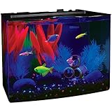 Tetra 29005 GloFish Aquarium Kit, 3 Gallon