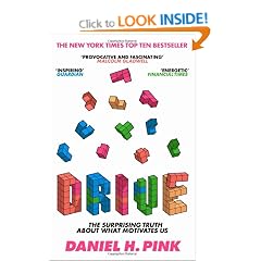 Drive: The Surprising Truth About What Motivates Us