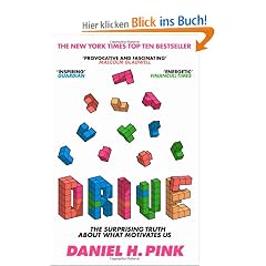 Drive: The Surprising Truth About What Motivates Us