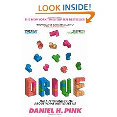 Drive: The Surprising Truth About What Motivates Us