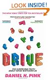 Drive: The Surprising Truth About What Motivates Us