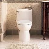 Sale on Champion Toilet Tank Only Finish: Black and Best Deals