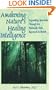 Awakening Nature's Healing Intelligence: Expanding Ayurveda Through The Maharisi Vedic Approach to Health