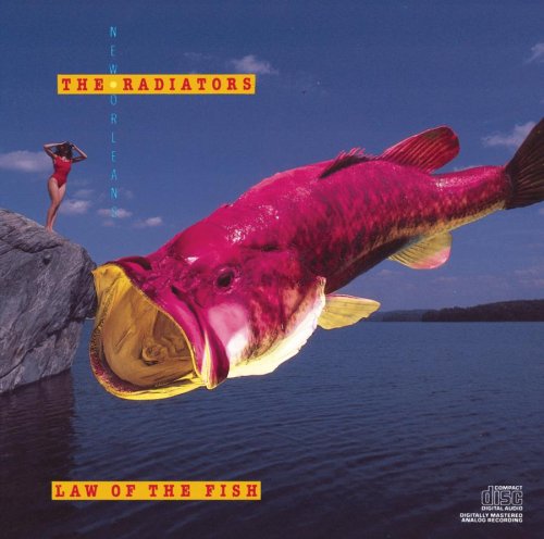 Radiators - 1996-06-01  Ossipee, NH - Brookstock, Sias Farm - Zortam Music