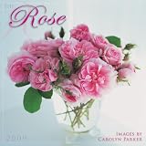 Rose 2009 Calendar: Images by Carolyn Parker