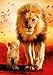 Ravensburger 19051 - Erste Schritte - 1000 Teile Puzzle