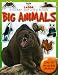 Little & Large Sticker Activity Series--Big Animals (Little & Large Sticker Activity Series)