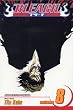 Bleach, Volume 8