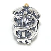 Pro Jewelry .925 Sterling Silver Rod of Asclepius Medical Symbol Charm Bead for Snake Chain Charm Bracelets