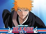Bleach: The Substitute