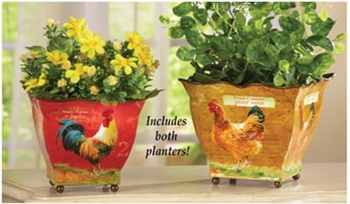 Summer Flower Planter Pots Garden Containers for Home French Country Kitchen Rooster Set of 2 Perfect for Bulbs Plants and Hanging Decor