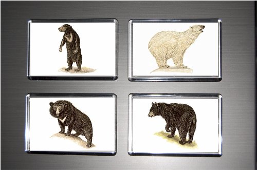 Gift Boxed Set of 4 Fridge Magnets Bear 2
