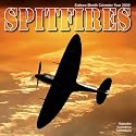 Spitfires 2009 Wall Calendar 12" X 12"