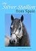 The Silver Stallion From Spain con Libri relativi al nominativo: 51xxVP1yVOL._SL75_