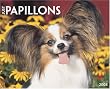 Just Papillons 2008 Calendar